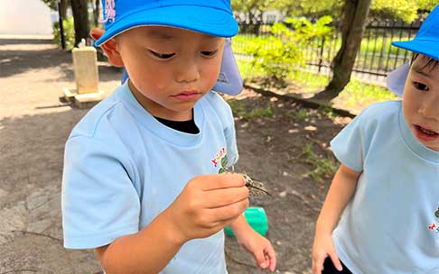 よつばの一年間　8月　自由登園の様子